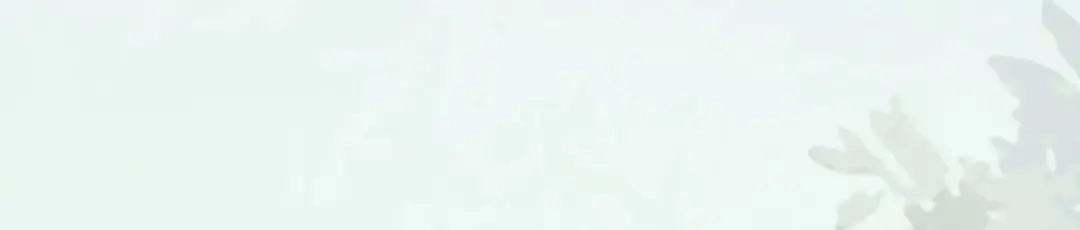 《杀手王妃不好惹》97-又生一计 第55页
