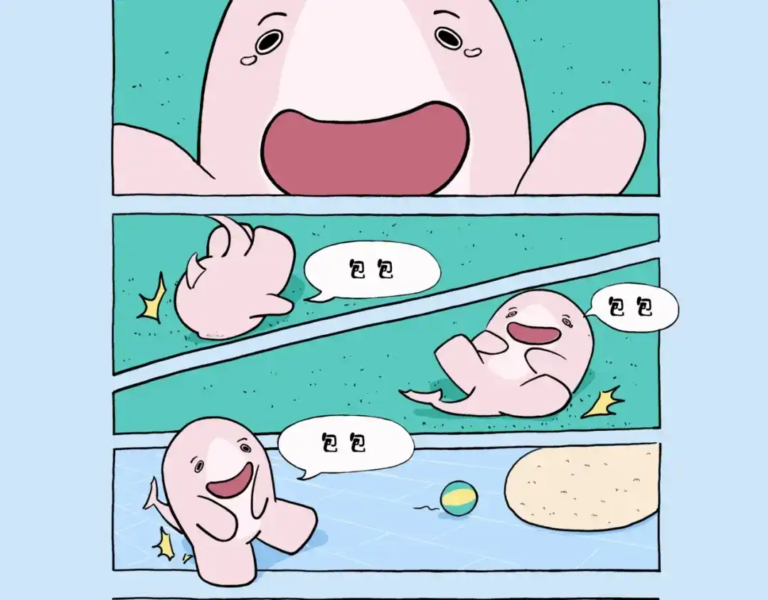 《鲨鱼一家》捡了个包包 第3页
