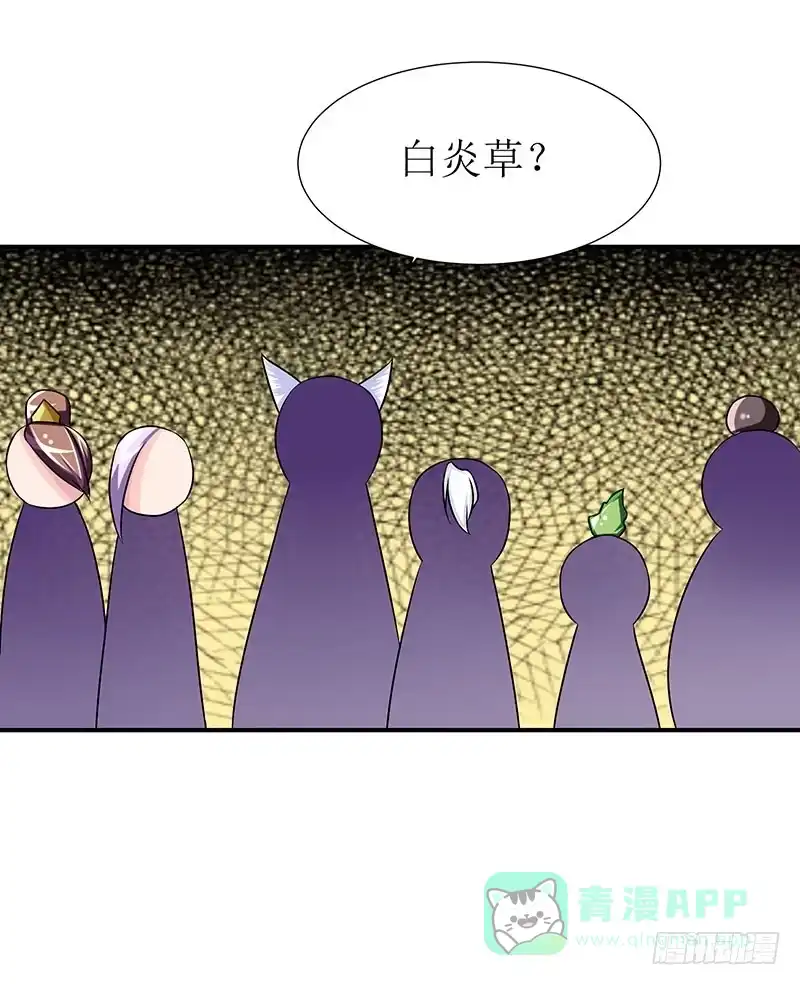 《蛇精是种病》传说十万大山中的迷雾山住着医仙 第26页