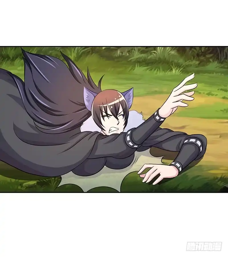 《蛇精是种病》神奇的草药 它的功效是... 第5页