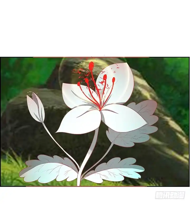 《蛇精是种病》传说中的白岩草出现啦！ 第28页
