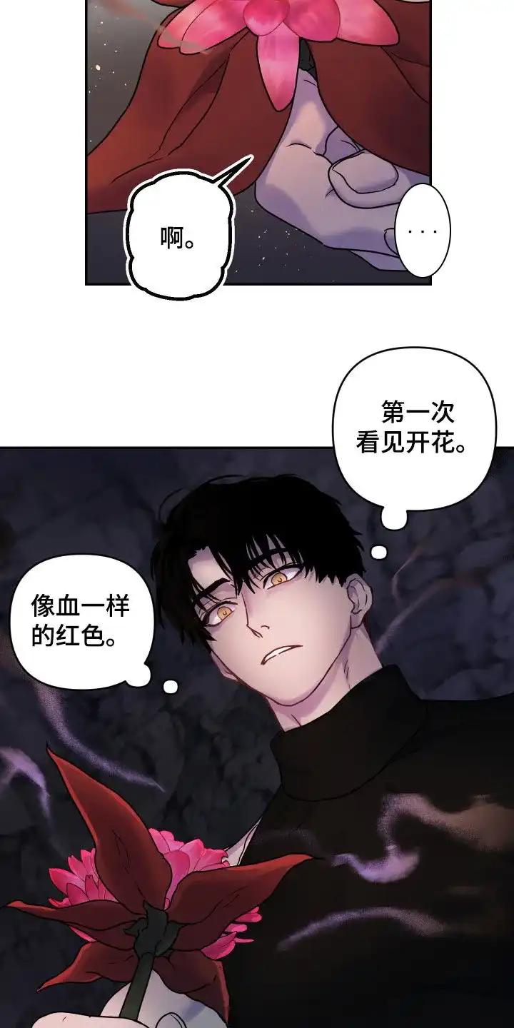 《生命之花》第29话 第22页