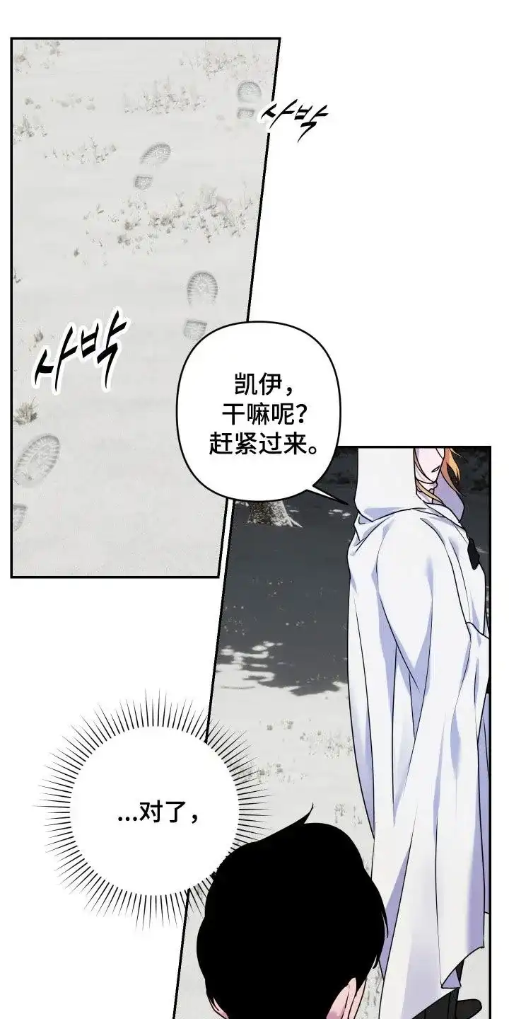 《生命之花》第41话 第20页