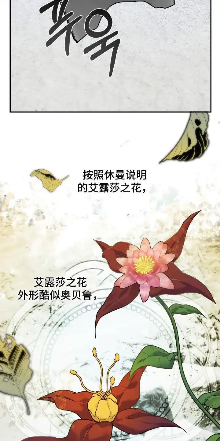 《生命之花》第41话 第5页