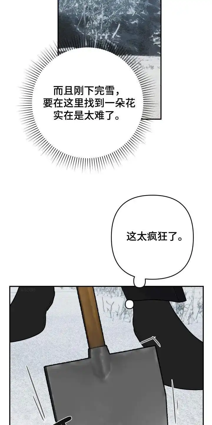 《生命之花》第41话 第4页