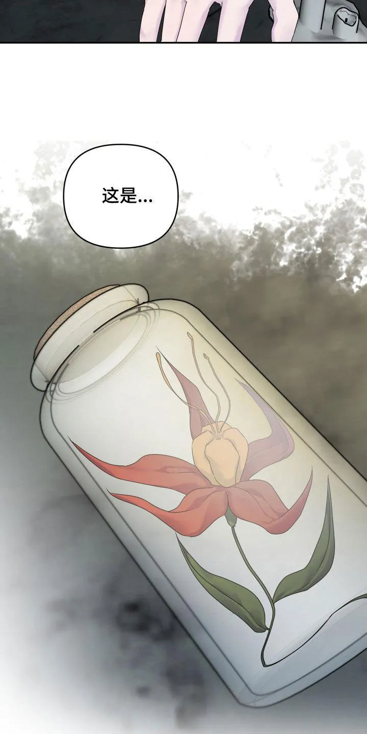 《生命之花》第48话 第13页