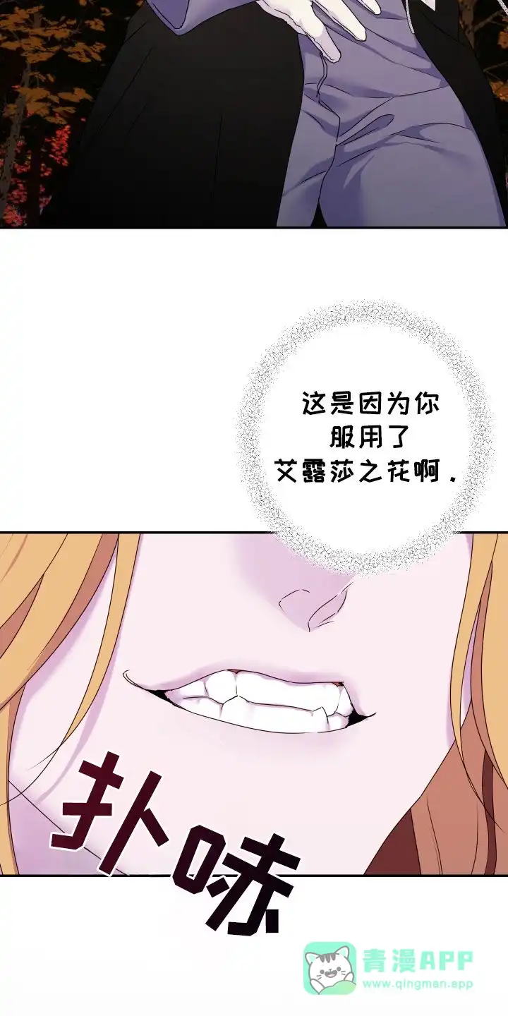 《生命之花》第58话 第36页