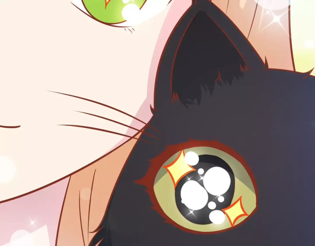 《剩女的春天》第13话 流浪猫 第112页