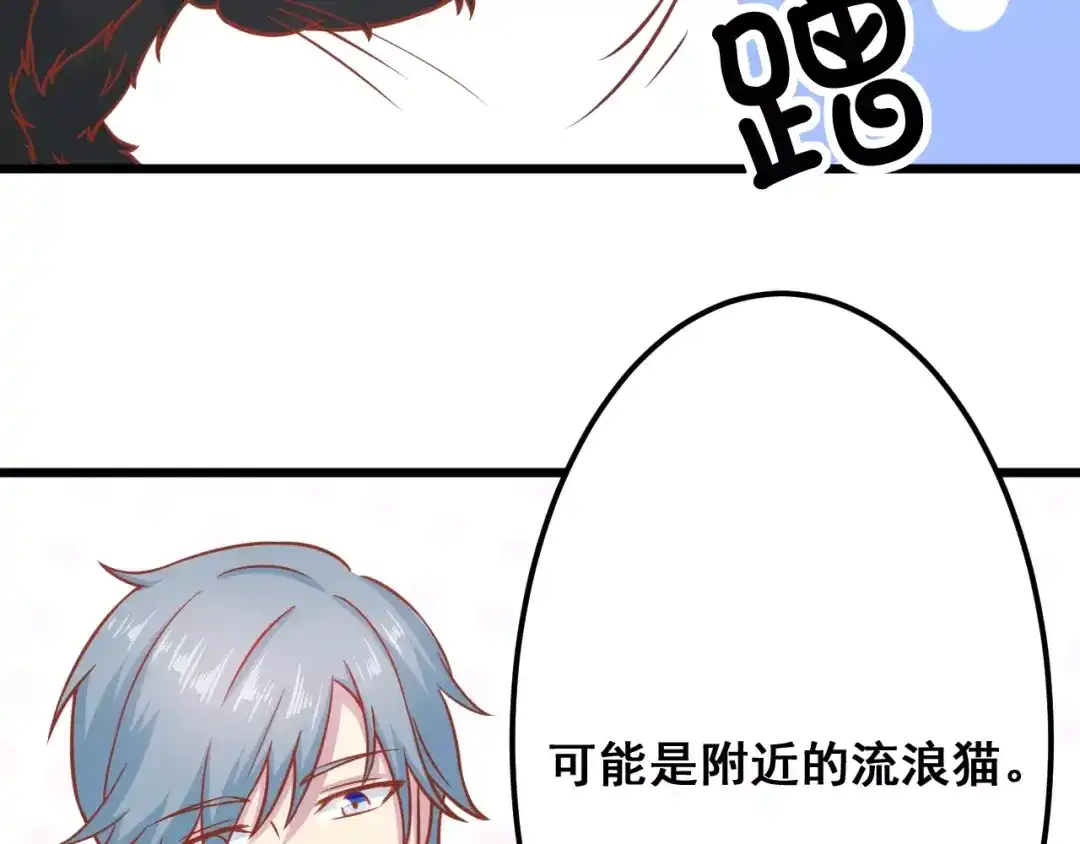《剩女的春天》第13话 流浪猫 第76页