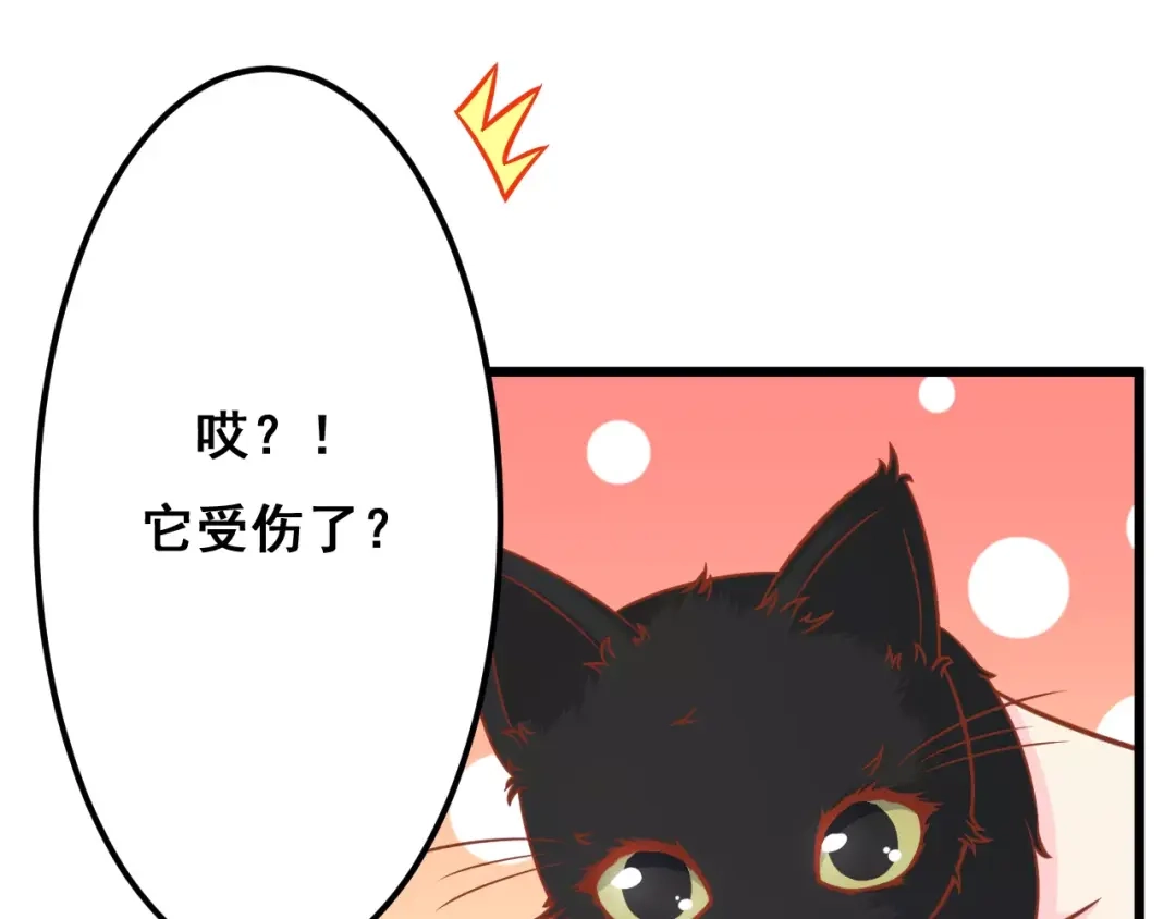 《剩女的春天》第13话 流浪猫 第81页