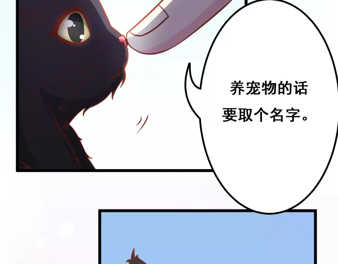《剩女的春天》第13话 流浪猫 第116页