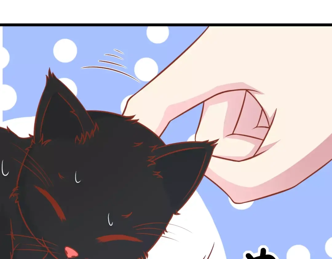 《剩女的春天》第13话 流浪猫 第75页