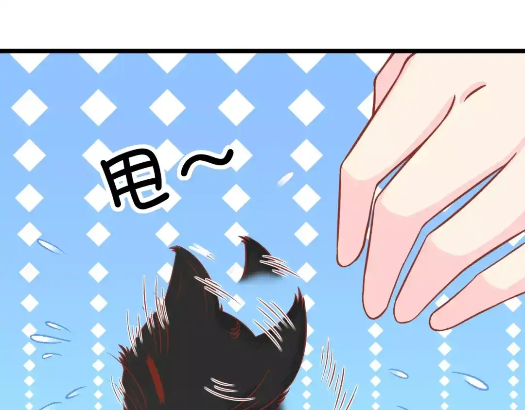 《剩女的春天》第13话 流浪猫 第89页