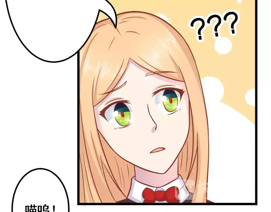《剩女的春天》第13话 流浪猫 第63页