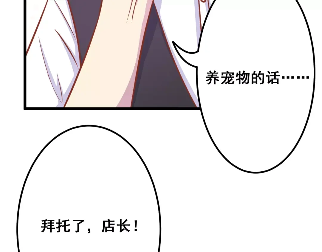 《剩女的春天》第13话 流浪猫 第109页