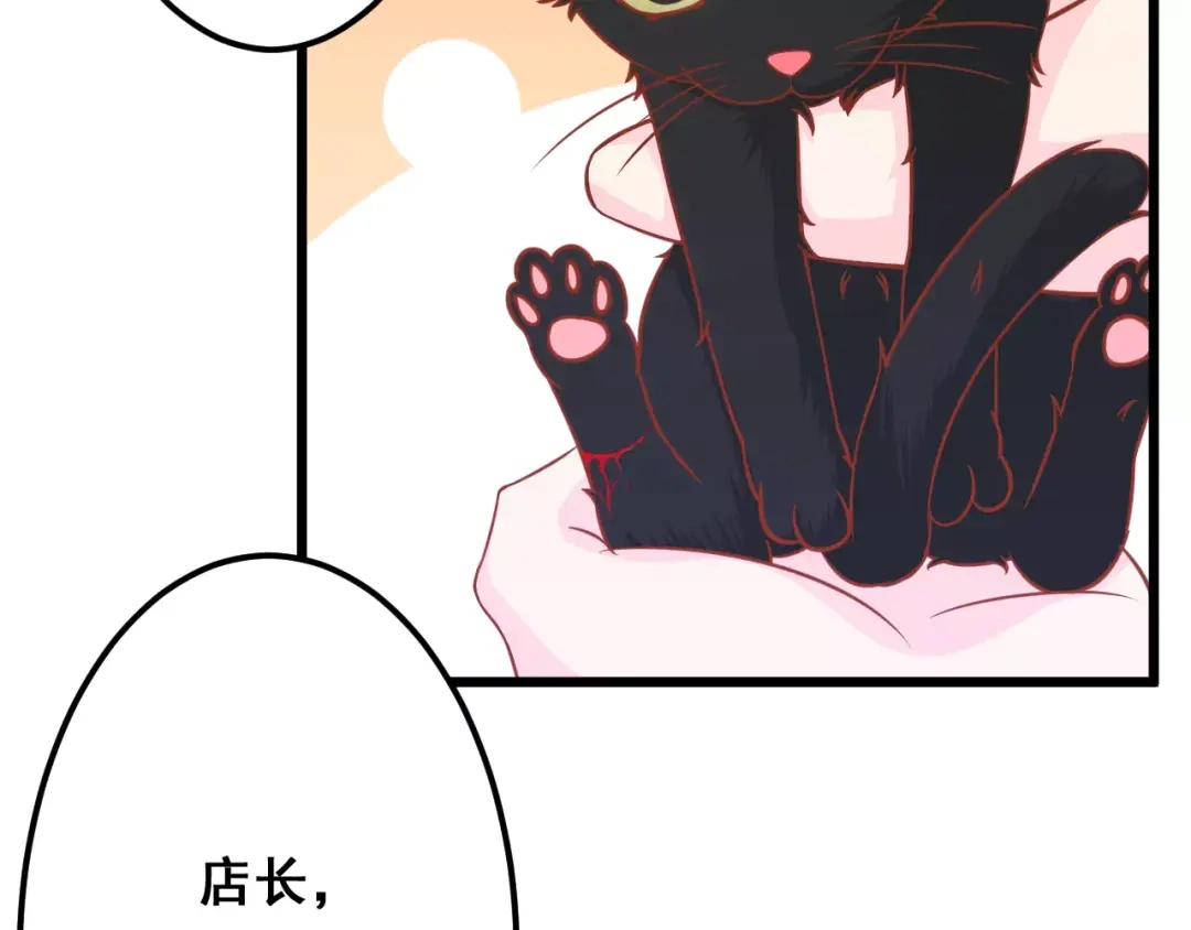 《剩女的春天》第13话 流浪猫 第82页