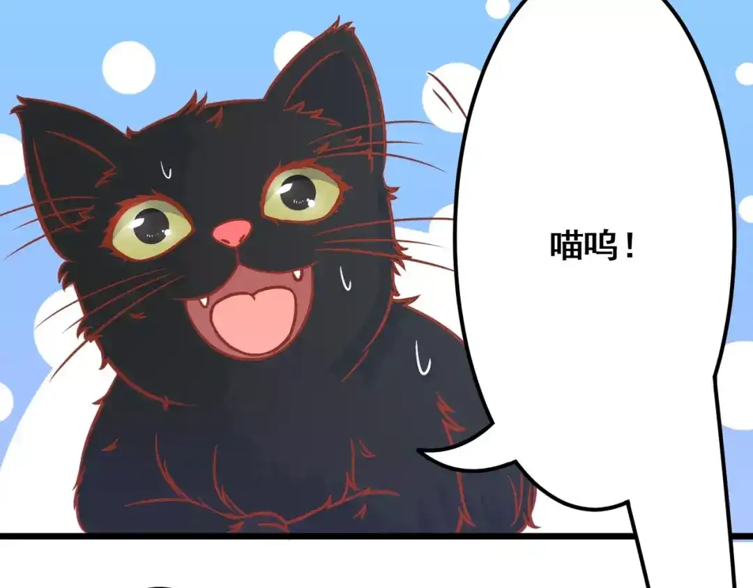 《剩女的春天》第13话 流浪猫 第71页