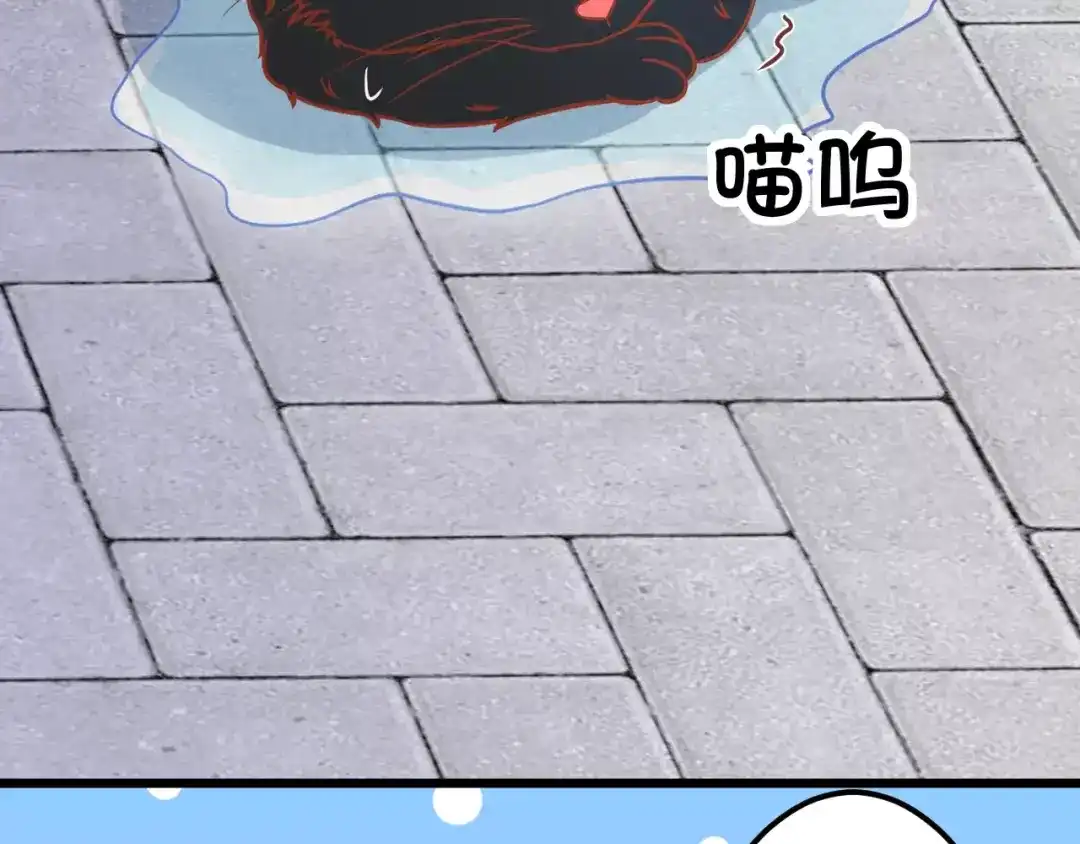 《剩女的春天》第13话 流浪猫 第70页