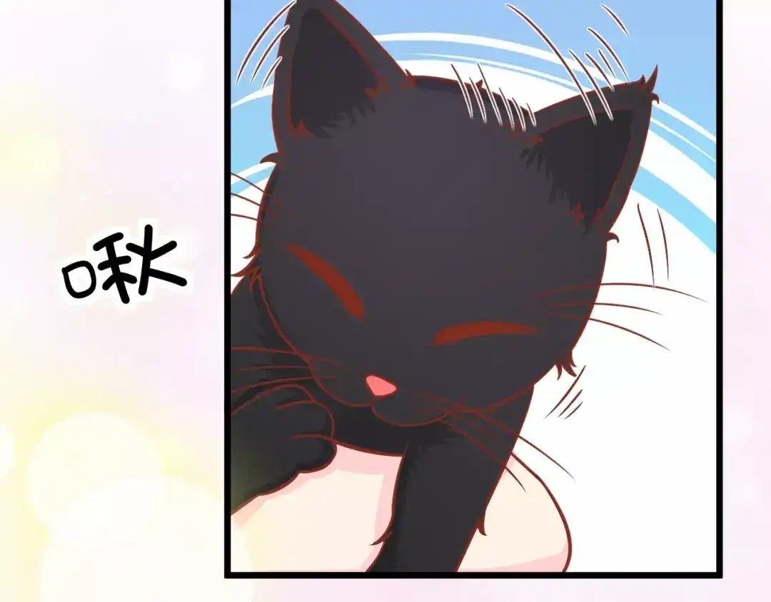 《剩女的春天》第13话 流浪猫 第117页