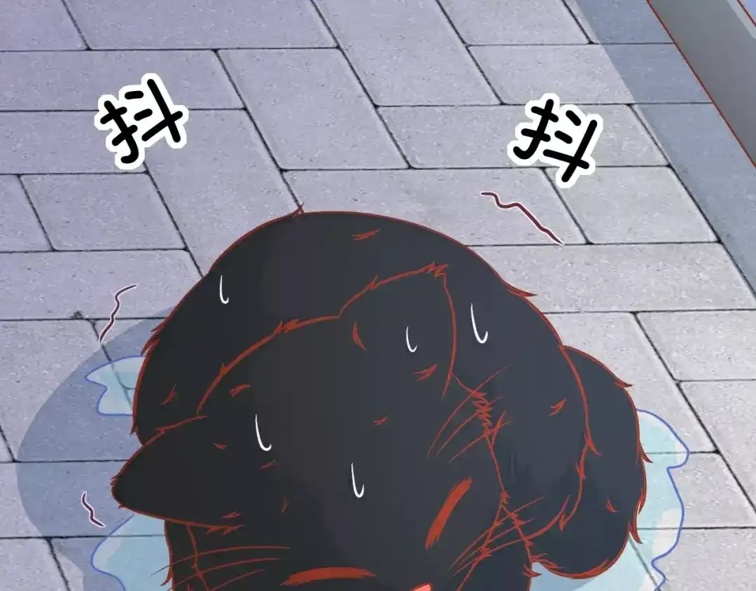 《剩女的春天》第13话 流浪猫 第69页