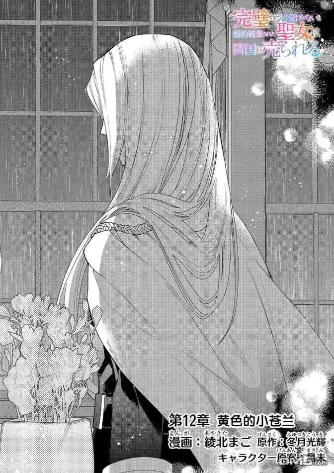 《圣女因太过完美不够可爱而被废除婚约并卖到邻国》第12话 第2页