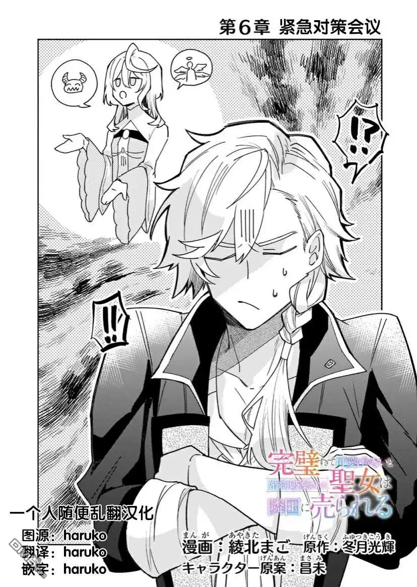 《圣女因太过完美不够可爱而被废除婚约并卖到邻国》第6话 第3页