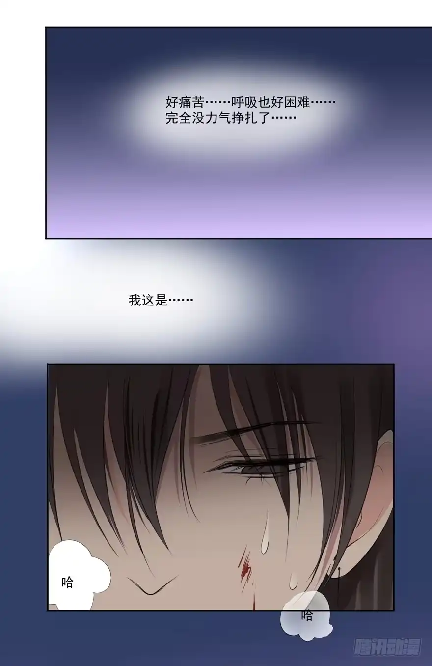 《生生相错》继承的血统 第17页
