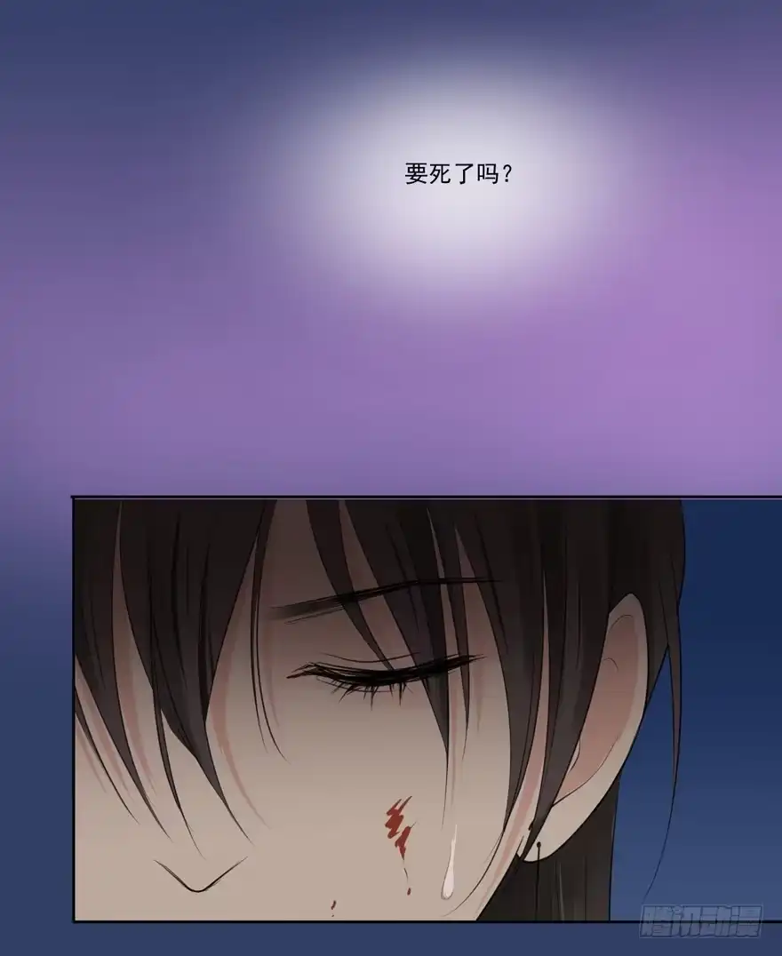 《生生相错》继承的血统 第18页