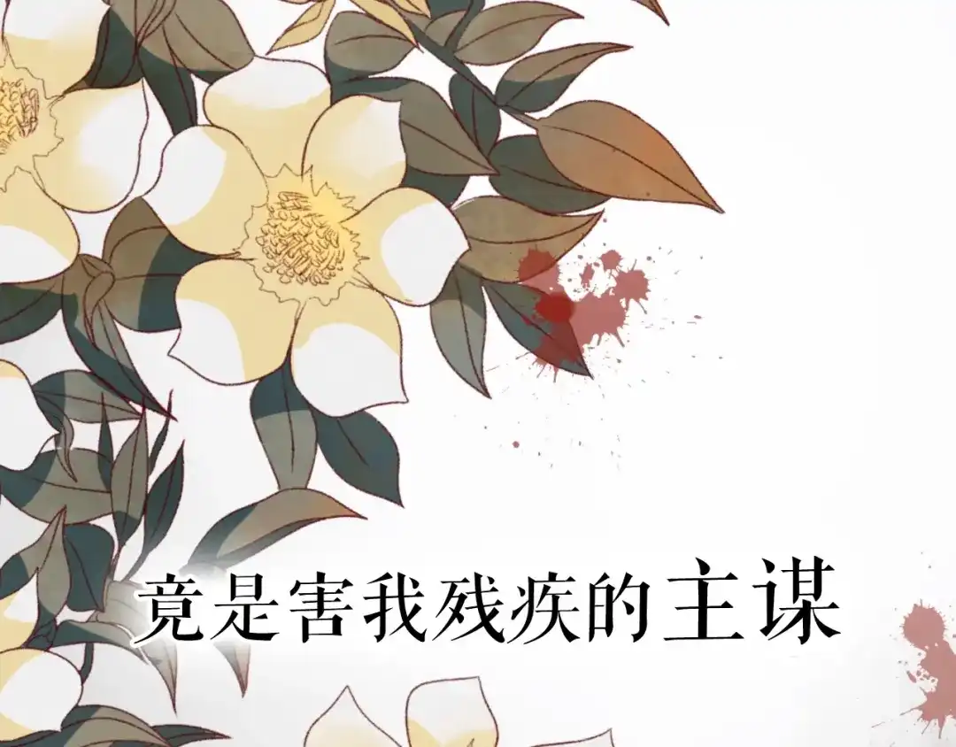 《盛世梨花殿》序章 复仇好戏才刚刚开始 第12页