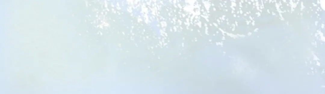 《盛世梨花殿》第1话 西域重生太子妃 第24页