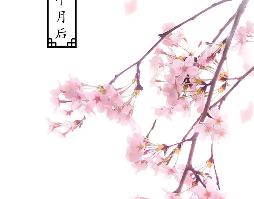 《盛世梨花殿》第67话 锅从天上来 第6页