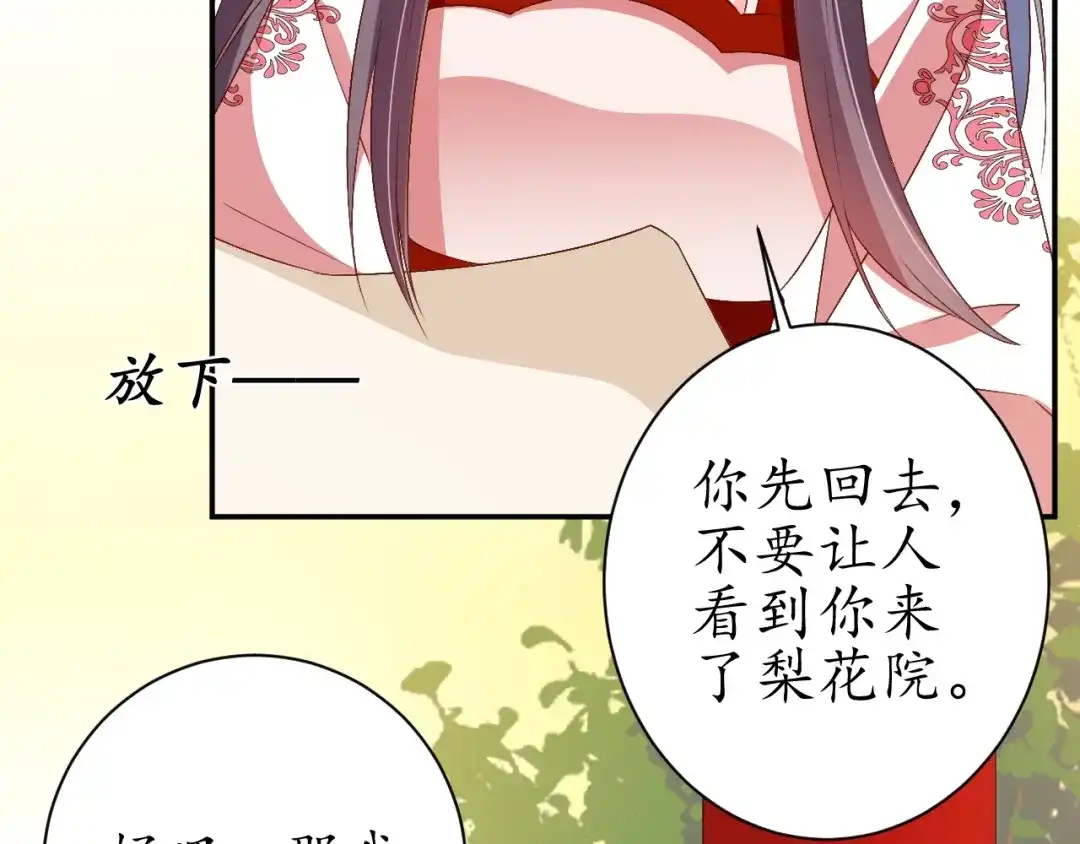 《盛世梨花殿》第69话 孩子不是太子的？ 第30页