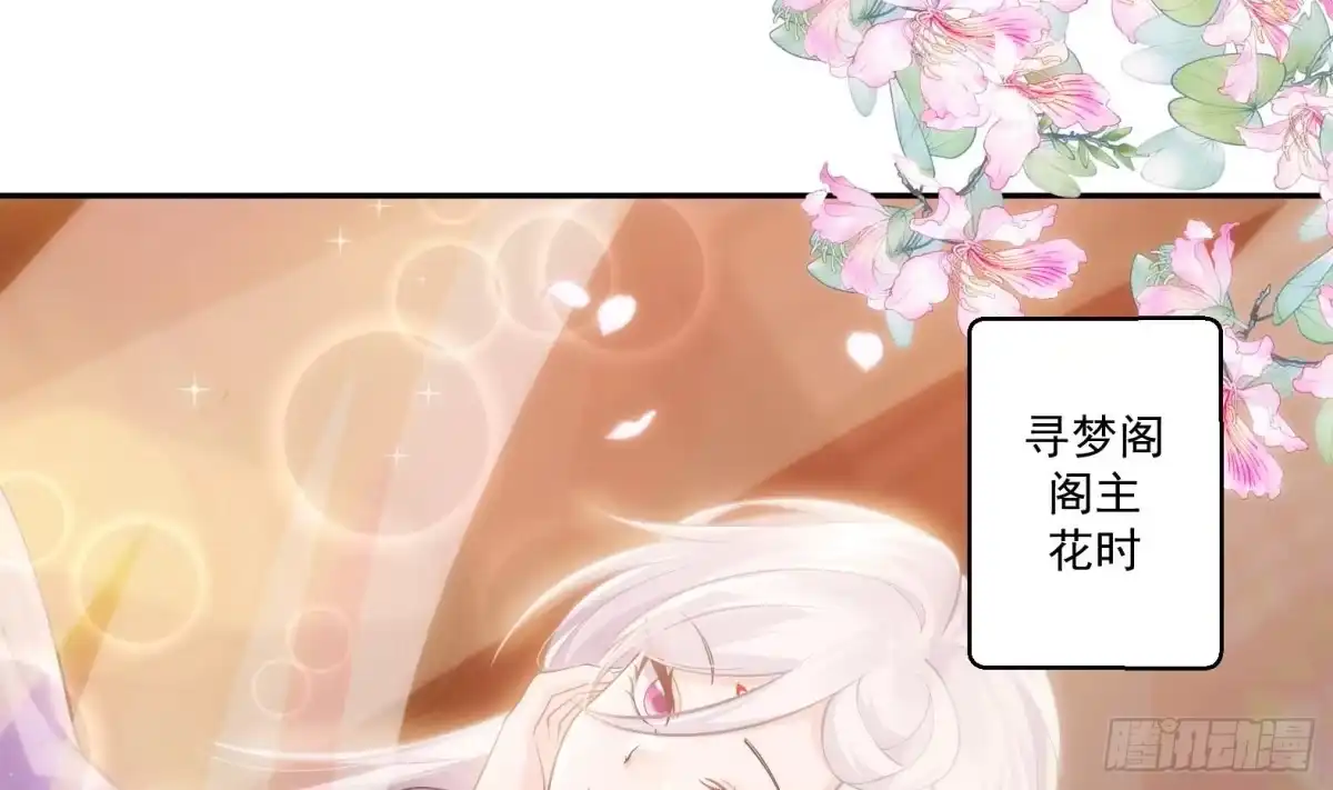 《神级契约：开局一只猫》第八话-逛青楼寻线索 第42页