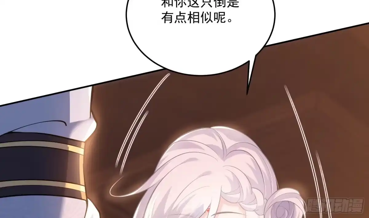 《神级契约：开局一只猫》第八话-逛青楼寻线索 第54页