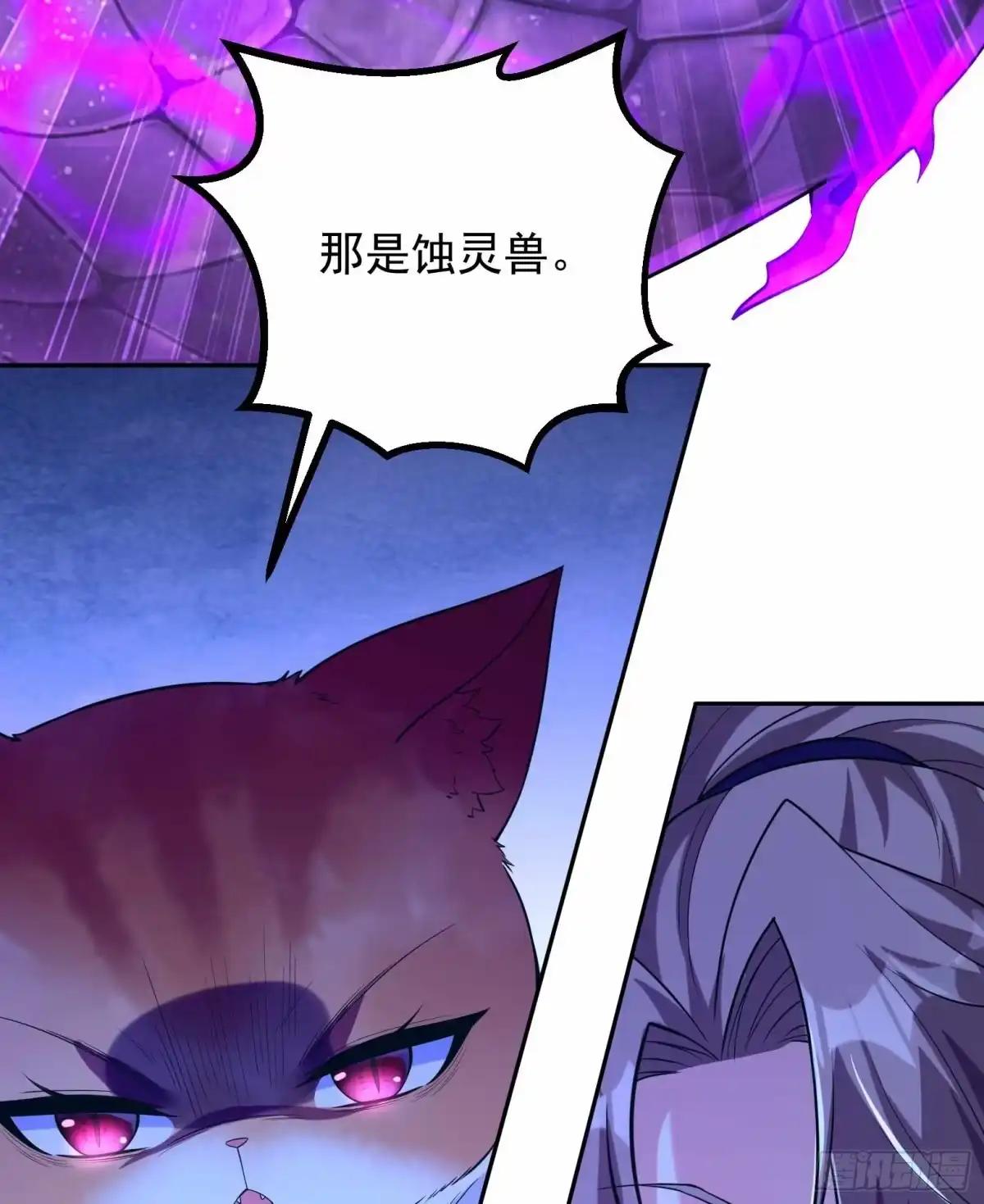 《神级契约：开局一只猫》第九话-兽耳女帝登场 第7页