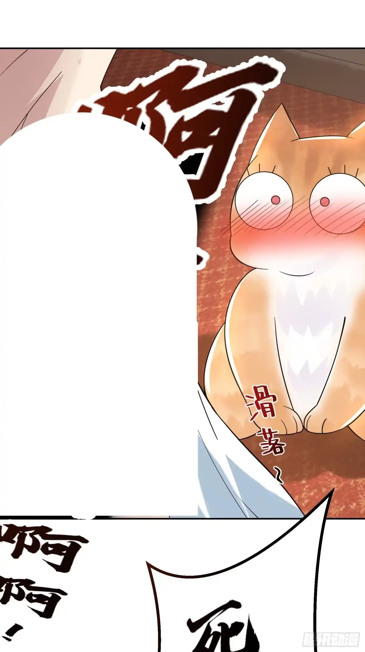 《神级契约：开局一只猫》第十六话-晋级地杰境 第17页