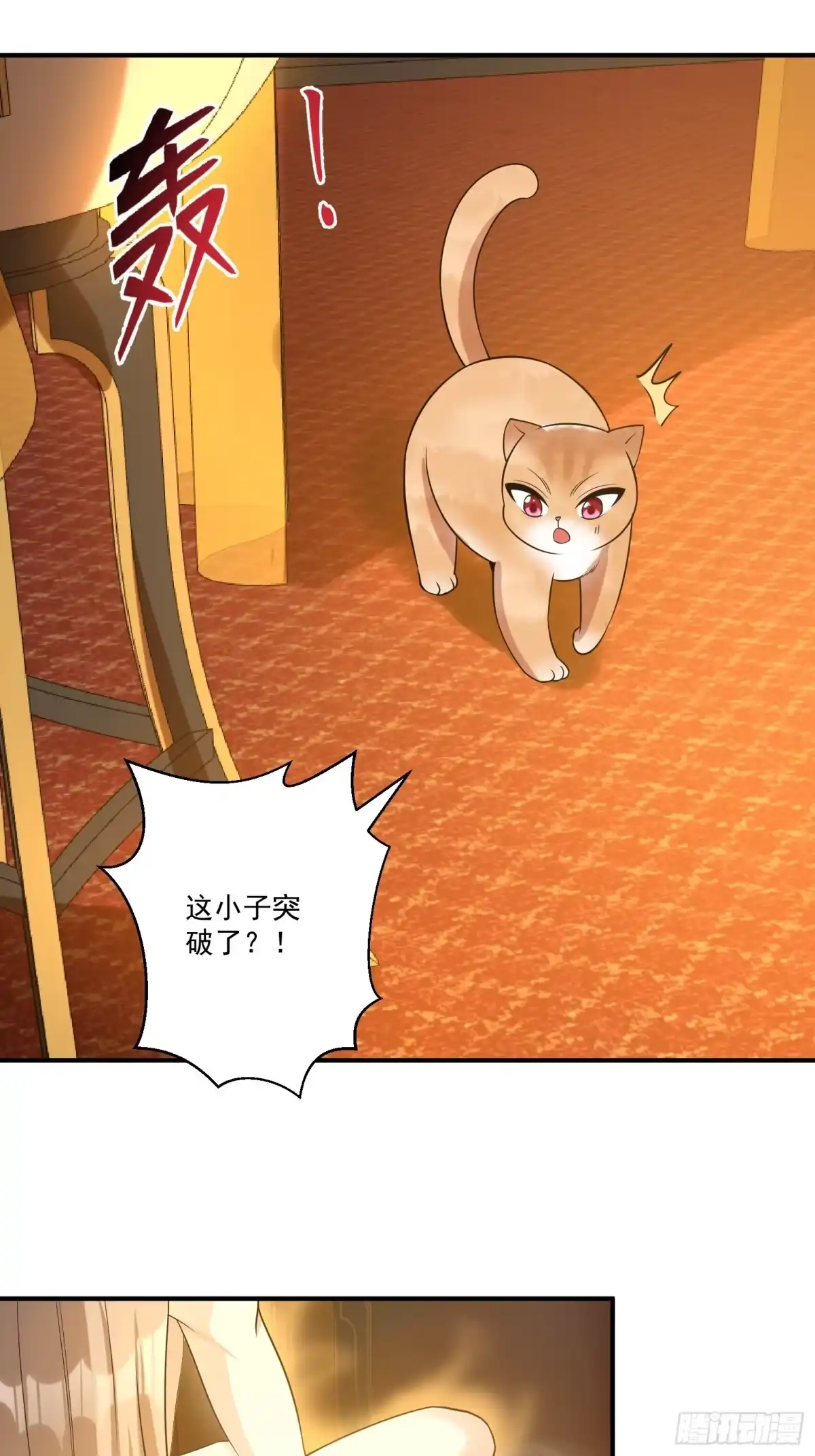 《神级契约：开局一只猫》第十六话-晋级地杰境 第10页