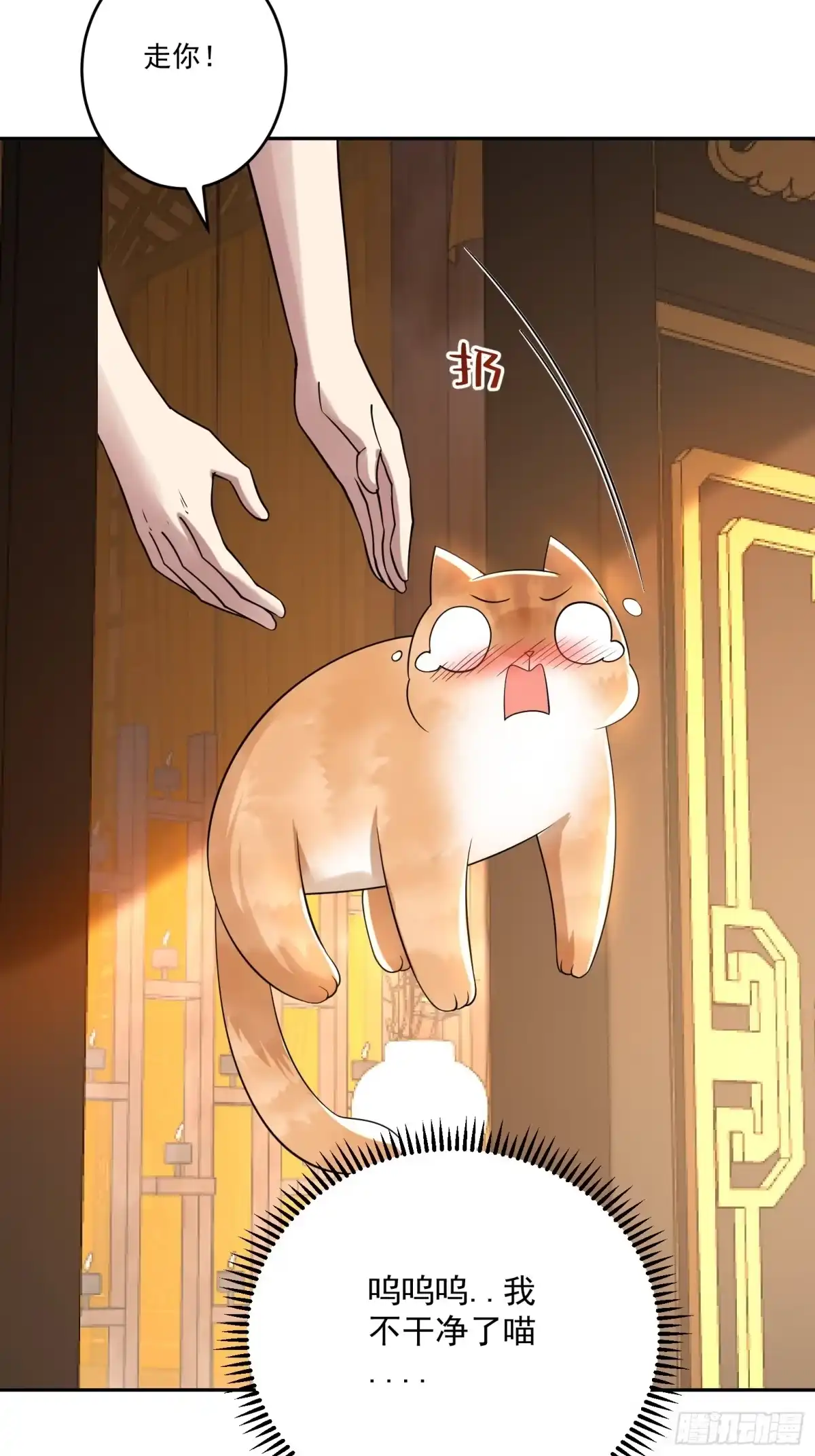 《神级契约：开局一只猫》第十六话-晋级地杰境 第20页