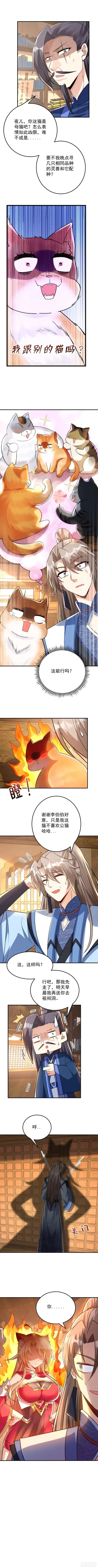 《神级契约：开局一只猫》第十八话-给你的猫相亲？ 第4页