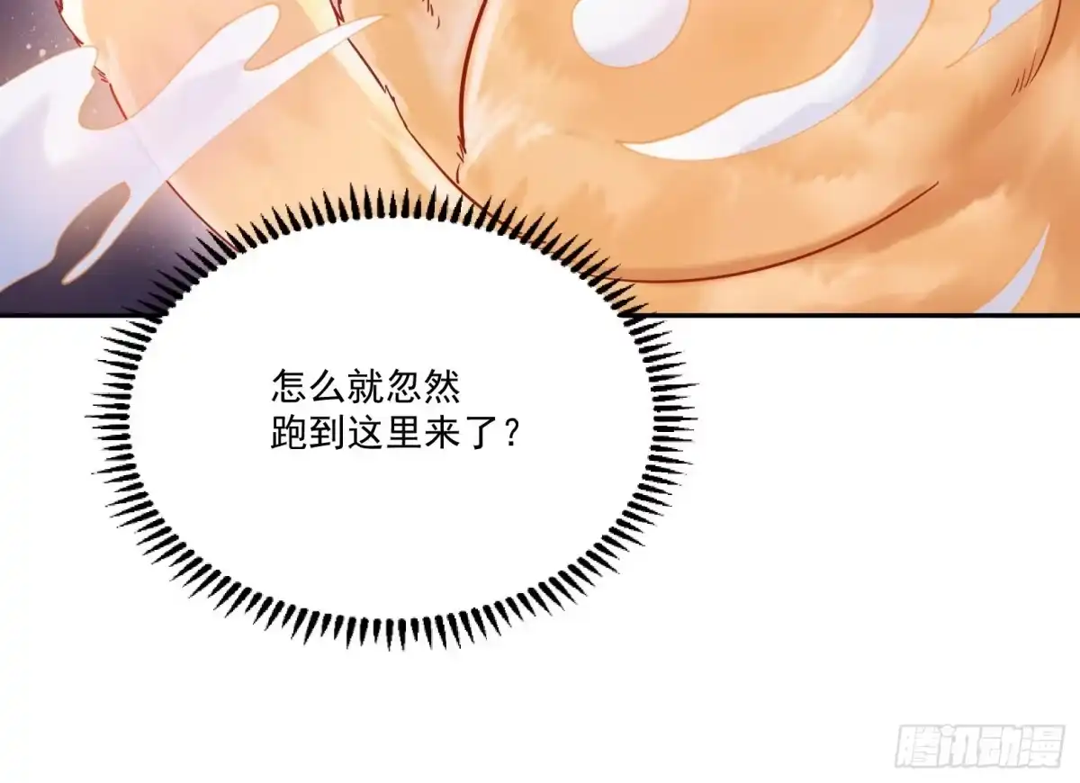 《神级契约：开局一只猫》第1话 开局一只猫？ 第138页