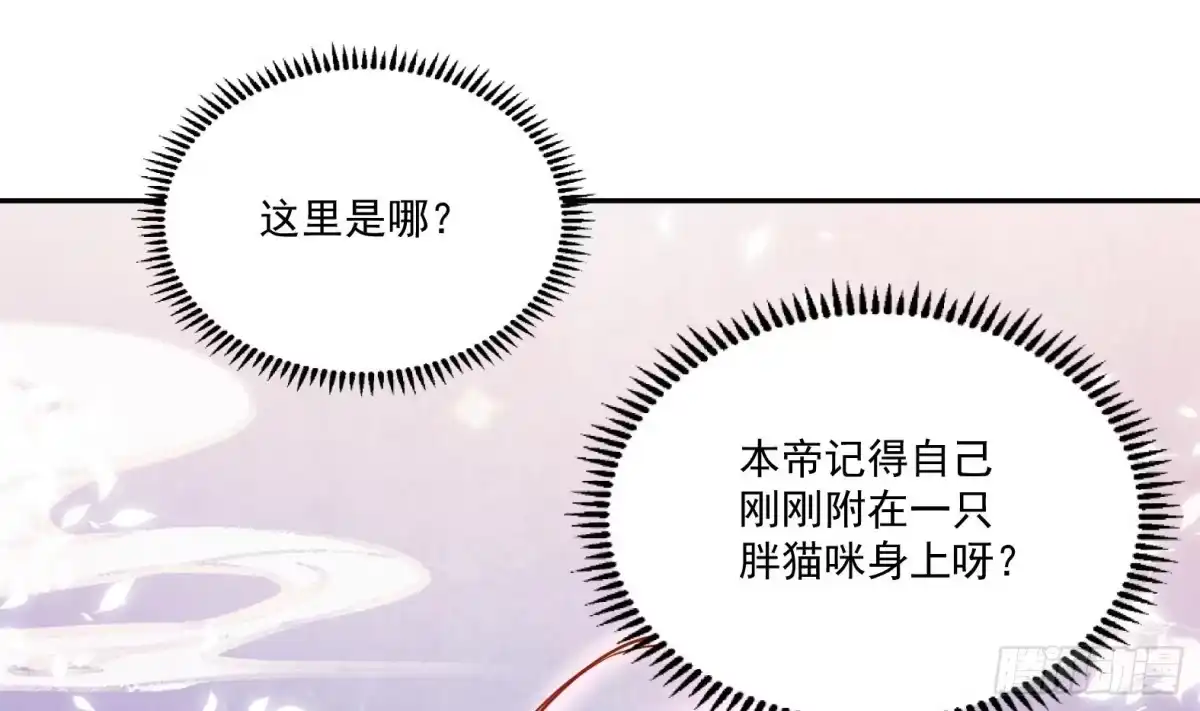 《神级契约：开局一只猫》第1话 开局一只猫？ 第133页