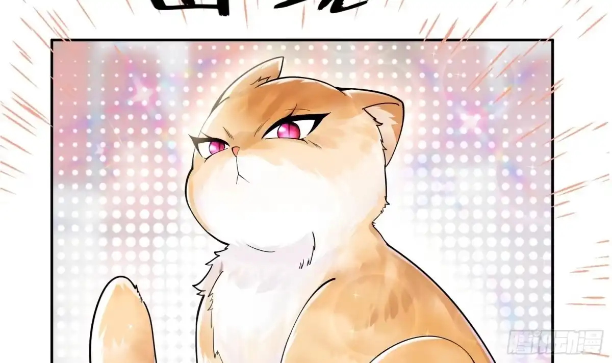 《神级契约：开局一只猫》第1话 开局一只猫？ 第126页