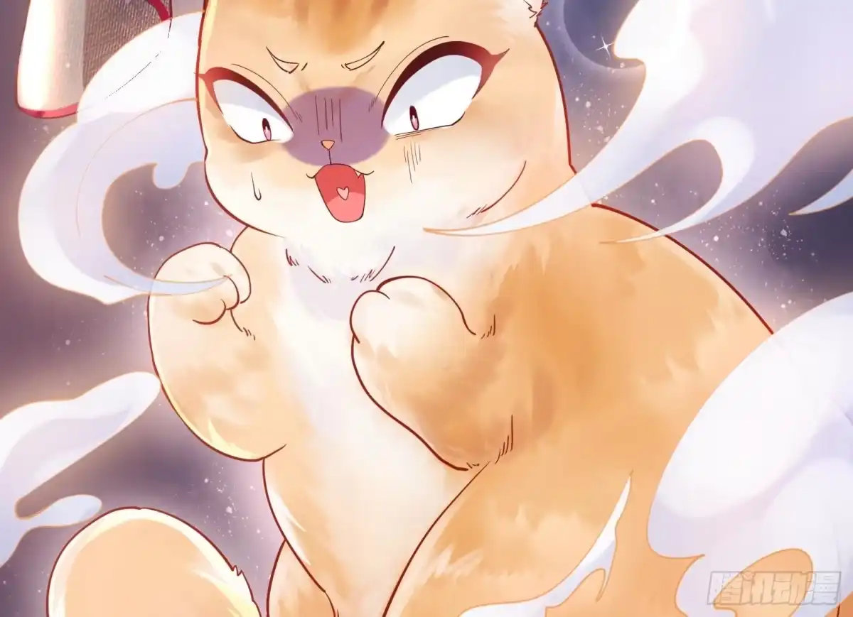 《神级契约：开局一只猫》第1话 开局一只猫？ 第137页