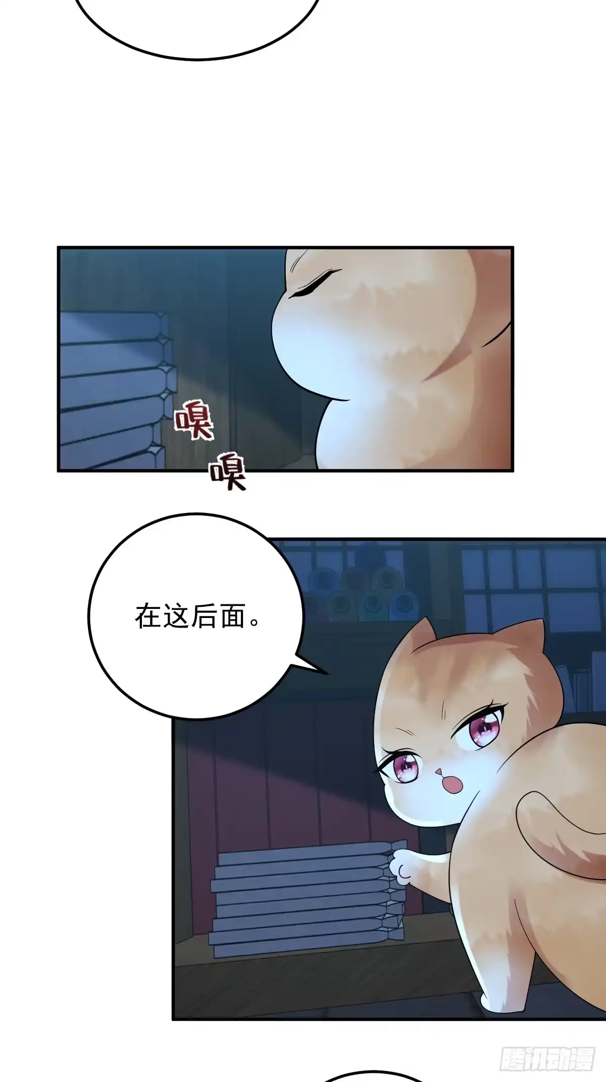 《神级契约：开局一只猫》第三十二话- 救人 第20页