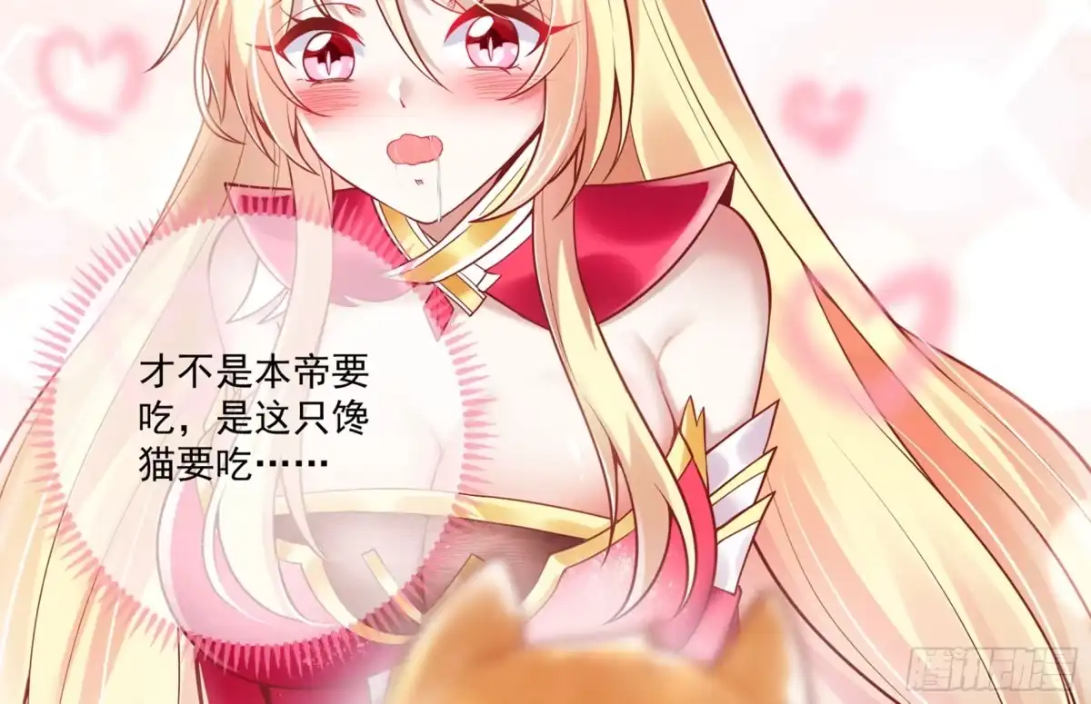 《神级契约：开局一只猫》第2话 萌新铲屎官 第59页