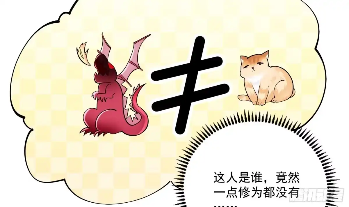 《神级契约：开局一只猫》第2话 萌新铲屎官 第11页