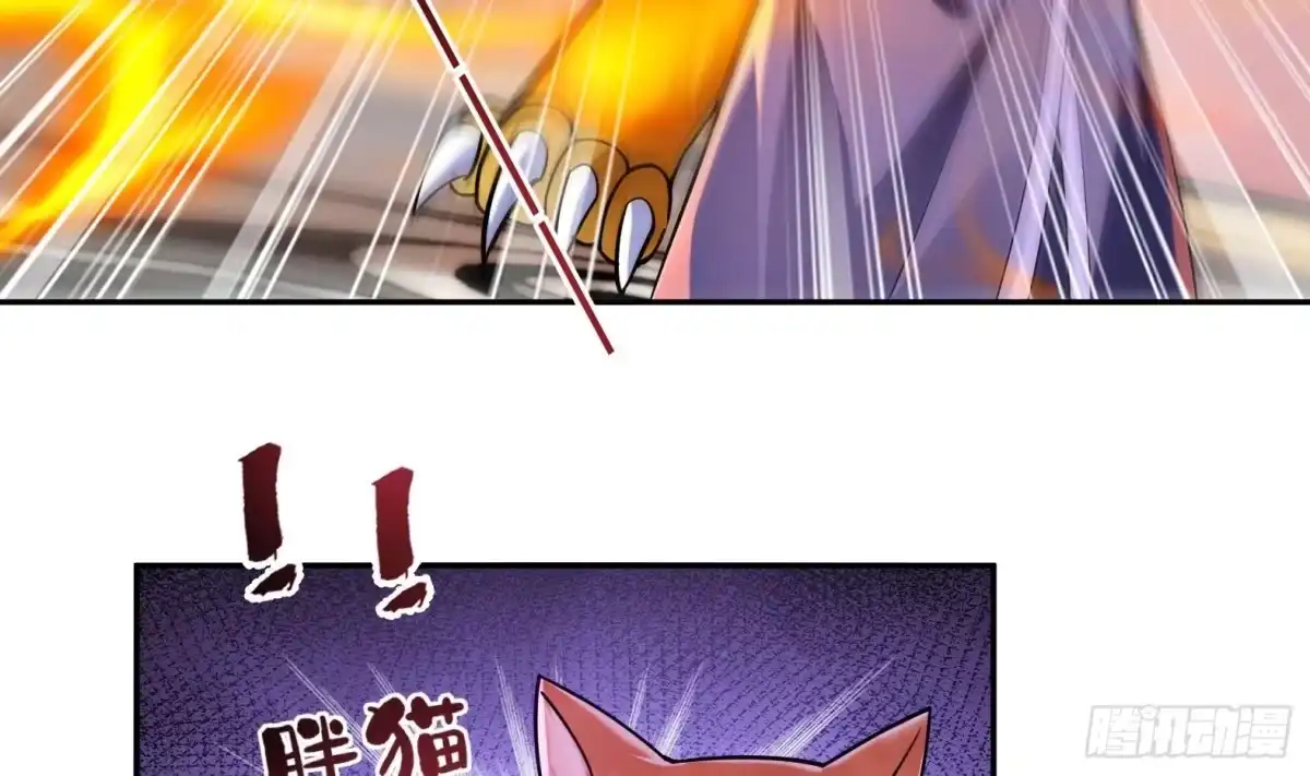 《神级契约：开局一只猫》第2话 萌新铲屎官 第25页