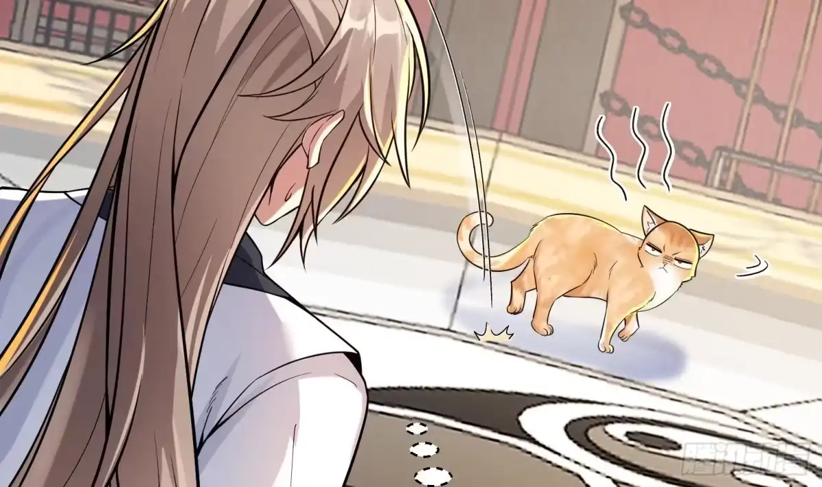 《神级契约：开局一只猫》第2话 萌新铲屎官 第17页