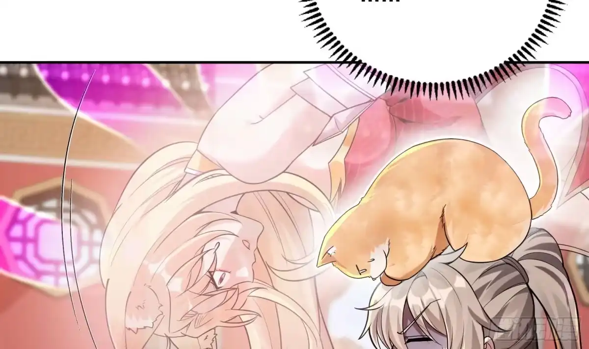 《神级契约：开局一只猫》第2话 萌新铲屎官 第12页