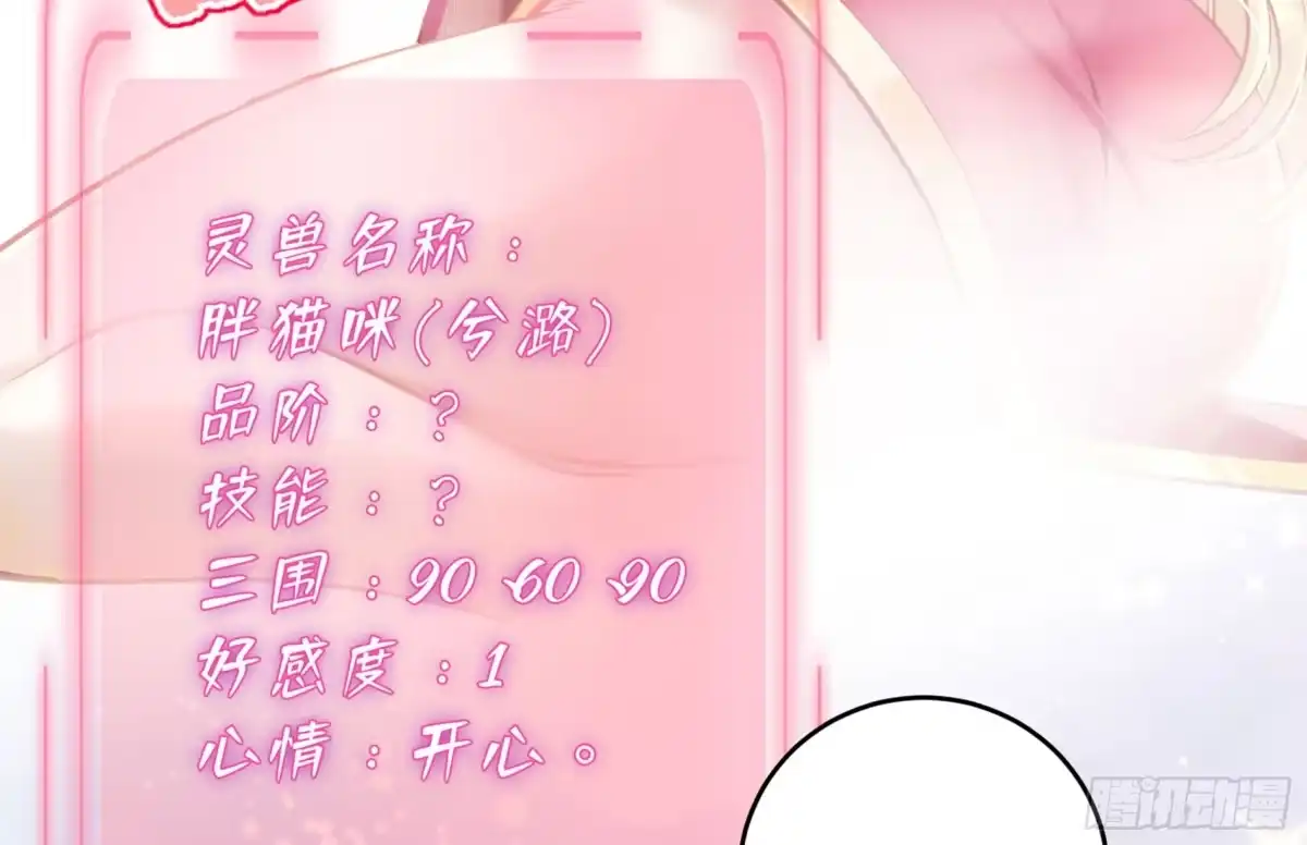《神级契约：开局一只猫》第2话 萌新铲屎官 第63页
